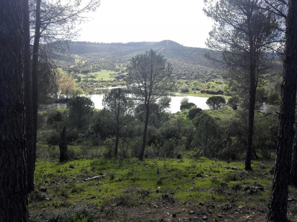 Casas Rurales Cijara Pension Helechosa Buitenkant foto