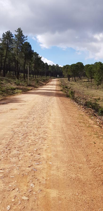 Casas Rurales Cijara Pension Helechosa Buitenkant foto